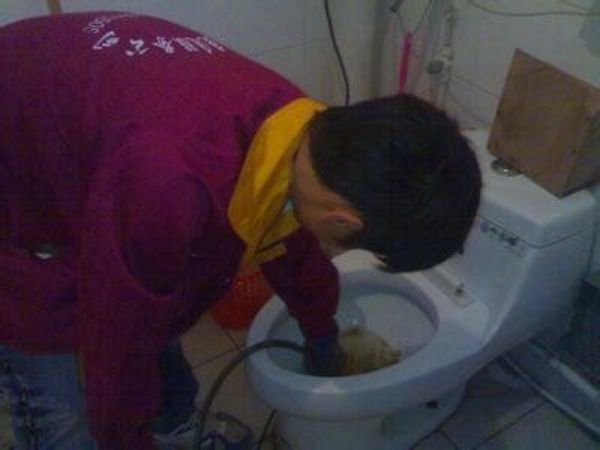 疏通河道的物理名词（疏通河道的作用）